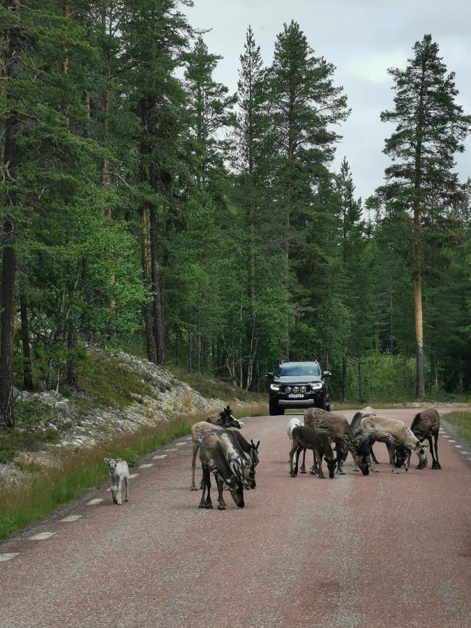 Fjaellstuga I Foskros M Bastu Villa Idre Buitenkant foto